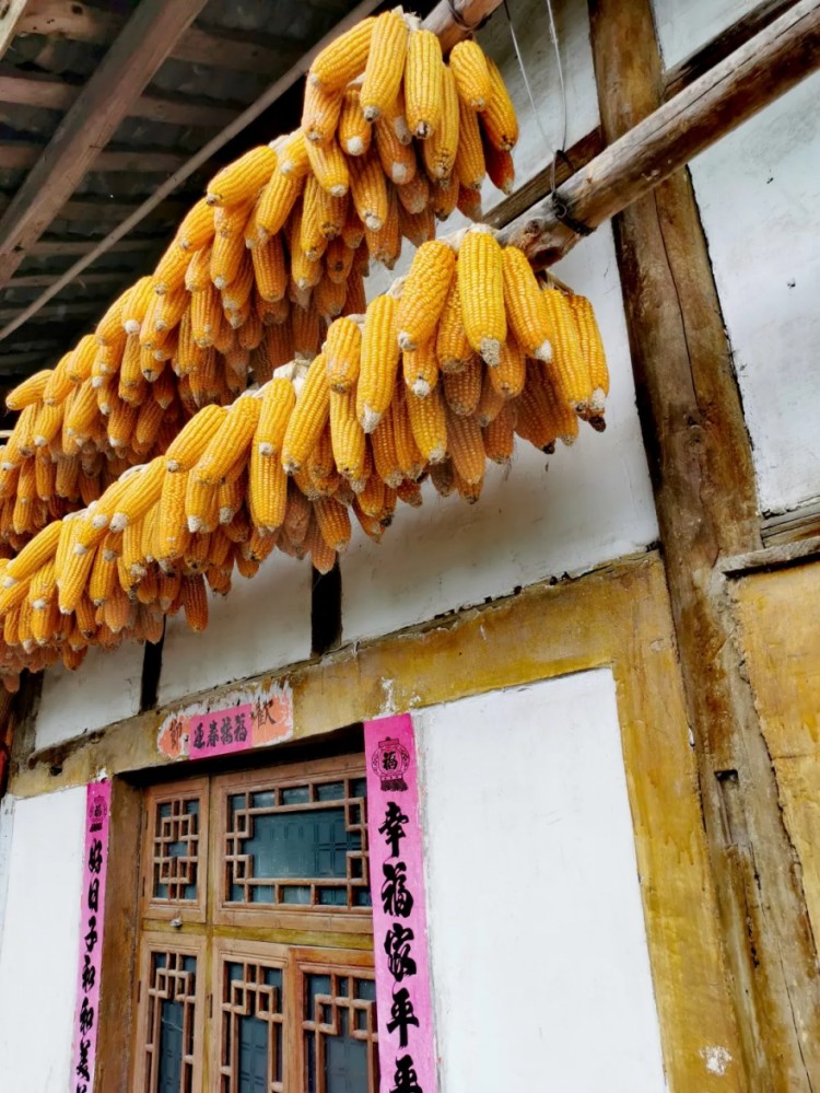 马上立冬啦！宜泡温泉和吃火锅来乌当这些地方就够了~